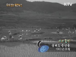 올해도 풍년을(63')