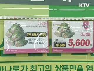 배추 등 김장용 채소값 급격한 안정세