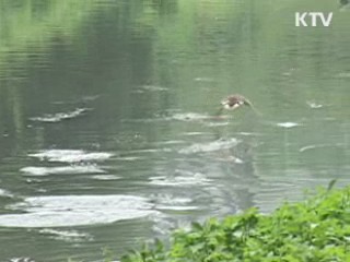 '군 복무기간 21개월' 국무회의 의결