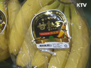 일본산 수입식품 방사능 '철통 검역중'