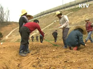 한 해 1만명 귀농, 매년 2배씩 증가