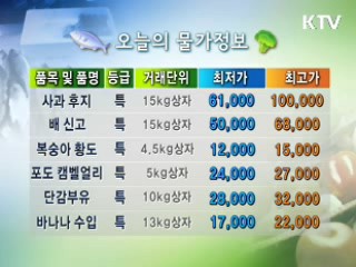 알뜰장보기 물가정보