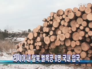 러시아 내 탈북 벌목공 8명 국내 입국