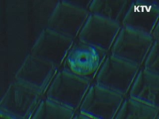 신고리 원전 1호기, 고장으로 발전 정지