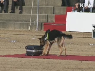 "최고 탐지견은 바로 나"