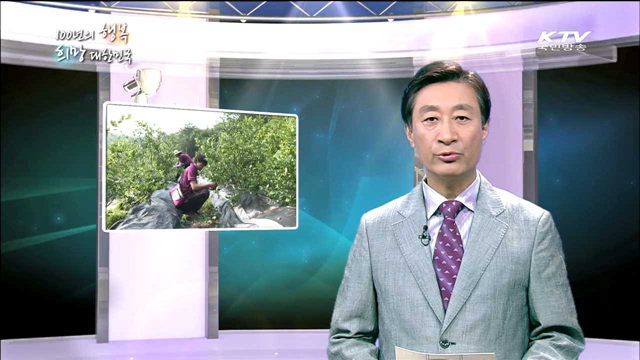 KTV 100년의 행복, 희망 대한민국 (59회)