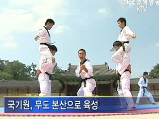 태권도, 대표 문화자산으로 육성