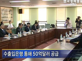 50억달러 외화유동성 공급