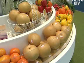 농림수산식품부 식품안전 대책