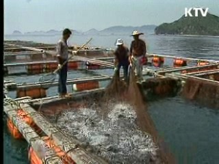 광역 클러스터로 지역 특산물 육성