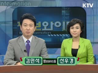 정보와이드 6 (10회)