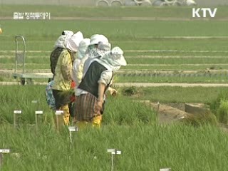 희망근로 상품권, 사용처 확대