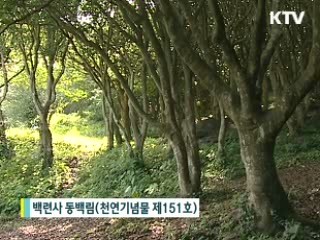 역사와 문화 자취 따라 걷는다 [현장 포커스]