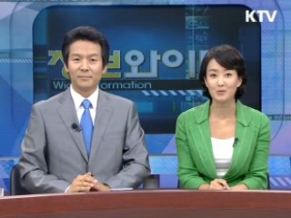 정보와이드 모닝 (240회)