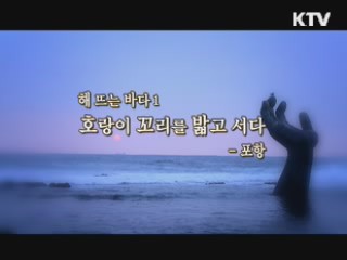 해 뜨는 바다 1. 호랑이 꼬리를 밟고 서다 - 포항 [대동문화도]
