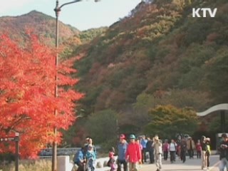 제9회 '산의 날'…산림복지 서비스 본격 추진