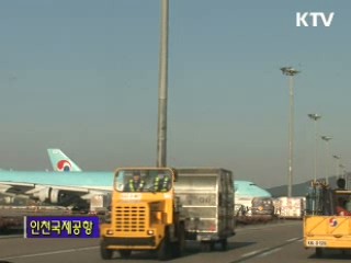 G20정상회의, 그 첫 관문을 지킨다! - 운항정책과 [정책, 현장을 가다]