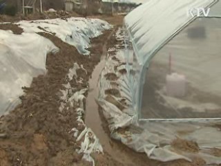 진천군 매몰지 침출수 유출 없어