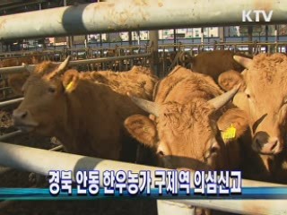 경북 안동 한우농가 구제역 의심신고