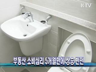 부동산 소비심리 5개월만에 상승 반전