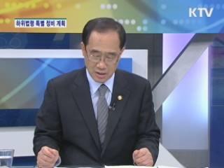 하위법령 특별 정비 추진 계획은? [집중 인터뷰]