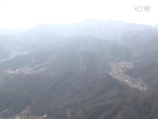 남산 57배' 나무 4천만 그루 심는다