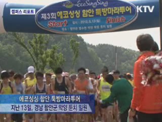 에코싱싱 함안 둑방마라투어