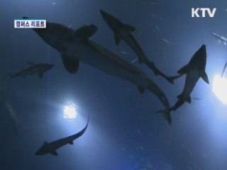 충북 단양 다누리 생태관 [캠퍼스 리포트]