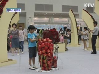 알록달록 컬러풀 '대구 꽃 잔치' [캠퍼스 리포트]