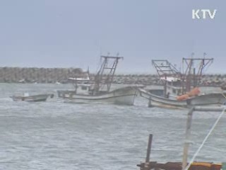 '덴빈' 빠르게 북상…오후 호남 서해안 상륙