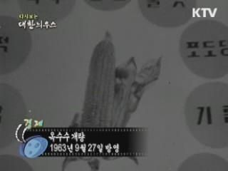 다시보는 대한늬우스 (63.09.27)