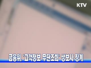 금융위, '고객정보 무단조회' 생보사 징계