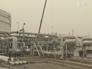 정책 플러스 (30회)