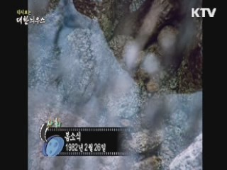 다시보는 대한늬우스 (82.02.26)