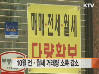 10월 전·월세 거래량 소폭 감소