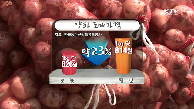 정부 "재고마늘 1만2천톤 공급 조절"