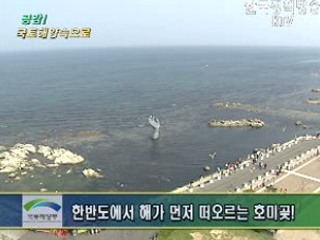 바다를 읽는 곳, 호미곶 등대박물관