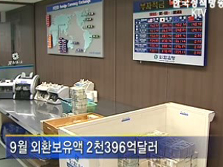 정부, '외환보유액 충분하다'