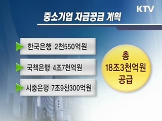 정책자금 총동원, 서민·中企 지원