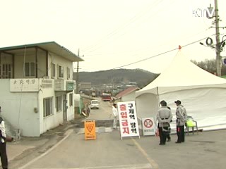 구제역 합동지원단 구성, 총력 방역