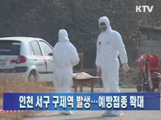 인천 서구 구제역 발생…예방접종 확대