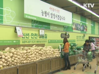 "김장 양념류 수입물량 저가에 공급"