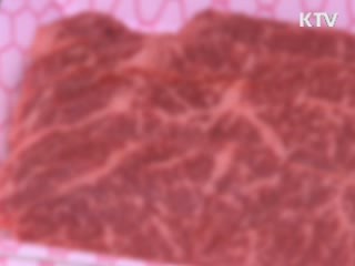 쇠고기값 왜곡 범정부 조사 착수