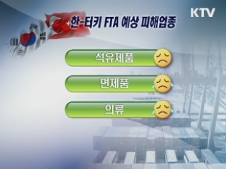 한·터키 FTA 급물살…산업계 기대 집중