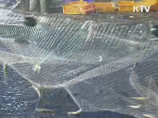 지난해 어가소득 늘고 농가소득 줄고