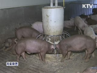 국내 업체 한EU FTA 무역피해 첫 인정