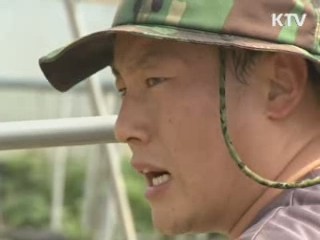 태풍 '볼라벤' 피해 복구, 군 장병 '구슬땀'