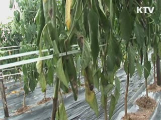 한·콜롬비아 FTA 정식 서명…"빠른 시일내 발효"