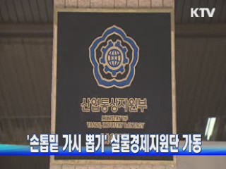 '손톱밑 가시 뽑기' 실물경제지원단 가동