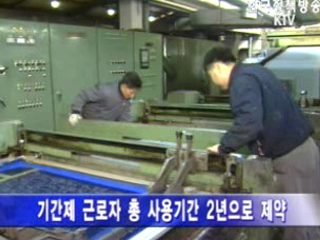 비정규직, 불합리한 차별금지 명문화